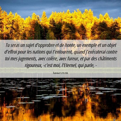 Picture 06 - Ézéchiel 5:15 LSG - Tu seras un sujet d'opprobre et de honte, un - Bible Verse Picture