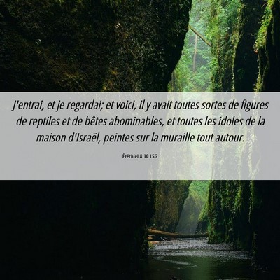 Picture 06 - Ézéchiel 8:10 LSG - J'entrai, et je regardai; et voici, il y avait - Bible Verse Picture