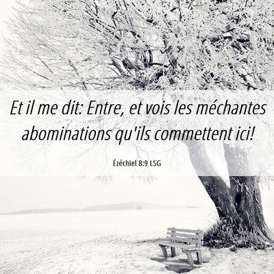 Picture 06 - Ézéchiel 8:9 LSG - Et il me dit: Entre, et vois les méchantes - Bible Verse Picture