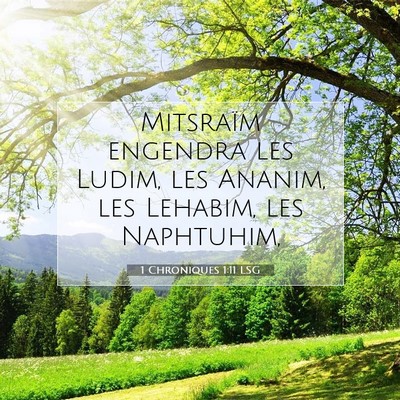 Picture 07 - 1 Chroniques 1:11 LSG - Mitsraïm engendra les Ludim, les Ananim, les - Bible Verse Picture