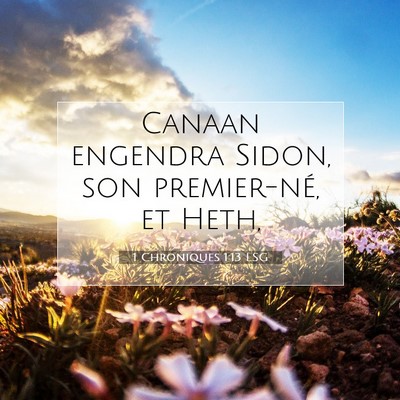 Picture 07 - 1 Chroniques 1:13 LSG - Canaan engendra Sidon, son premier-né, et - Bible Verse Picture