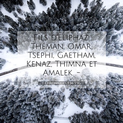 Picture 07 - 1 Chroniques 1:36 LSG - Fils d'Eliphaz: Théman, Omar, Tsephi, Gaetham, - Bible Verse Picture