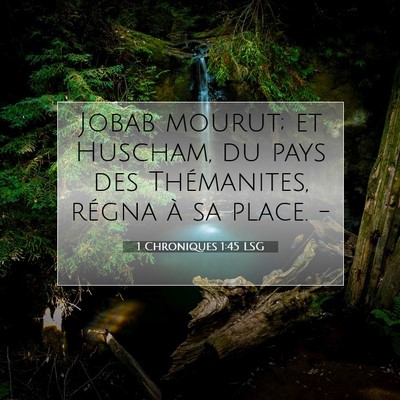Picture 07 - 1 Chroniques 1:45 LSG - Jobab mourut; et Huscham, du pays des - Bible Verse Picture