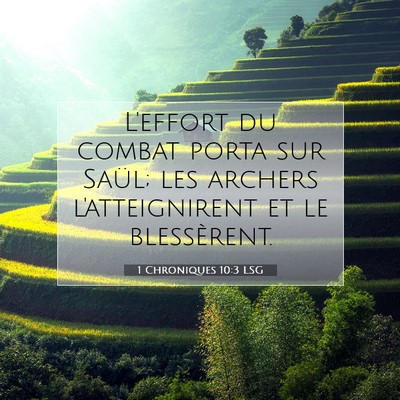 Picture 07 - 1 Chroniques 10:3 LSG - L'effort du combat porta sur Saül; les archers - Bible Verse Picture