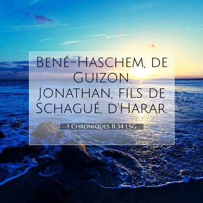 Picture 07 - 1 Chroniques 11:34 LSG - Bené-Haschem, de Guizon. Jonathan, fils de - Bible Verse Picture