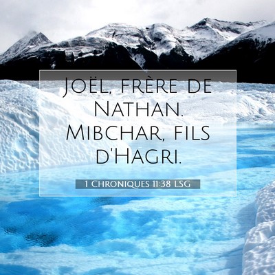Picture 07 - 1 Chroniques 11:38 LSG - Joël, frère de Nathan. Mibchar, fils - Bible Verse Picture