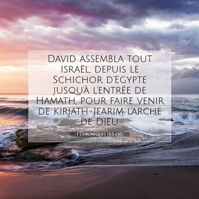 Picture 07 - 1 Chroniques 13:5 LSG - David assembla tout Israël, depuis le Schichor - Bible Verse Picture
