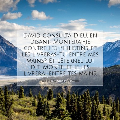 Picture 07 - 1 Chroniques 14:10 LSG - David consulta Dieu, en disant: Monterai-je - Bible Verse Picture