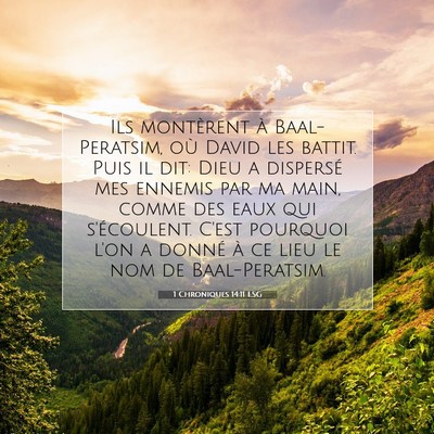 Picture 07 - 1 Chroniques 14:11 LSG - Ils montèrent à Baal-Peratsim, où David les - Bible Verse Picture