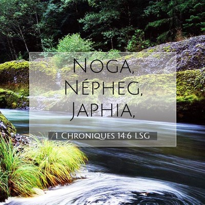 Picture 07 - 1 Chroniques 14:6 LSG - Noga, Népheg, - Bible Verse Picture