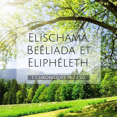 Picture 07 - 1 Chroniques 14:7 LSG - Elischama, Beéliada et - Bible Verse Picture