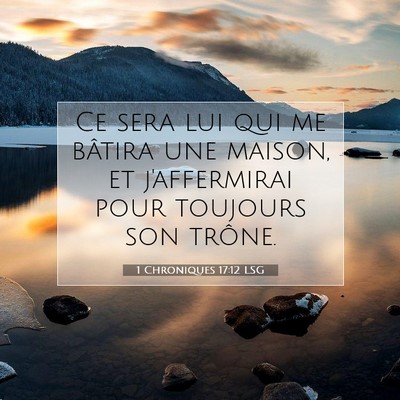 Picture 07 - 1 Chroniques 17:12 LSG - Ce sera lui qui me bâtira une maison, et - Bible Verse Picture