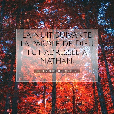 Picture 07 - 1 Chroniques 17:3 LSG - La nuit suivante, la parole de Dieu fut adressée - Bible Verse Picture