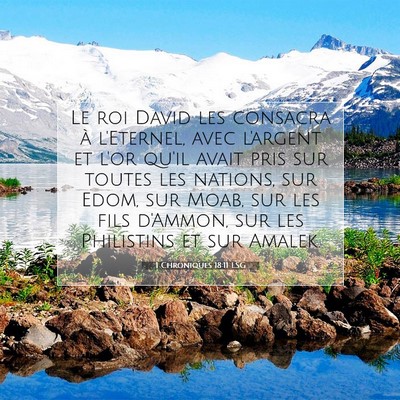 Picture 07 - 1 Chroniques 18:11 LSG - Le roi David les consacra à l'Eternel, avec - Bible Verse Picture