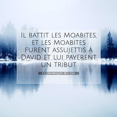 Picture 07 - 1 Chroniques 18:2 LSG - Il battit les Moabites, et les Moabites furent - Bible Verse Picture