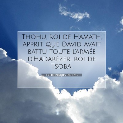 Picture 07 - 1 Chroniques 18:9 LSG - Thohu, roi de Hamath, apprit que David avait - Bible Verse Picture