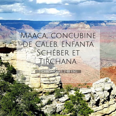 Picture 07 - 1 Chroniques 2:48 LSG - Maaca, concubine de Caleb, enfanta Schéber et - Bible Verse Picture