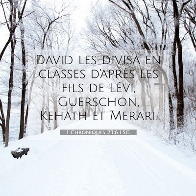 Picture 07 - 1 Chroniques 23:6 LSG - David les divisa en classes d'après les fils de - Bible Verse Picture