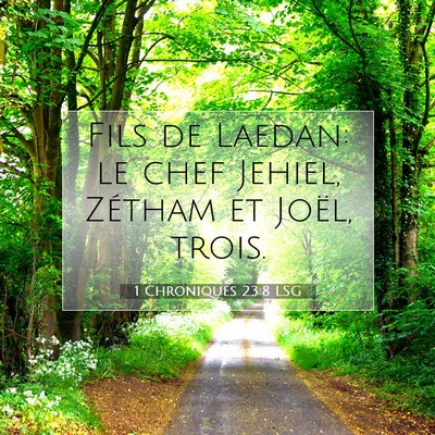 Picture 07 - 1 Chroniques 23:8 LSG - Fils de Laedan: le chef Jehiel, Zétham et Joël, - Bible Verse Picture