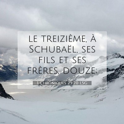 Picture 07 - 1 Chroniques 25:20 LSG - le treizième, à Schubaël, ses fils et ses - Bible Verse Picture
