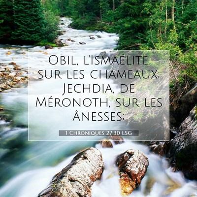 Picture 07 - 1 Chroniques 27:30 LSG - Obil, l'Ismaélite, sur les chameaux; Jechdia, de - Bible Verse Picture