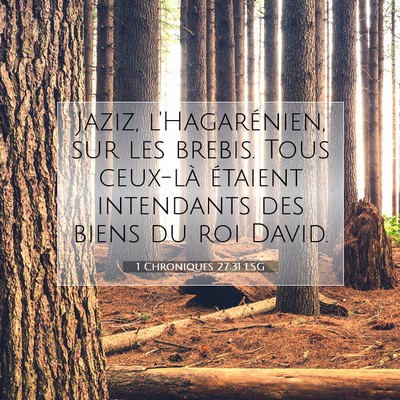 Picture 07 - 1 Chroniques 27:31 LSG - Jaziz, l'Hagarénien, sur les brebis. Tous - Bible Verse Picture