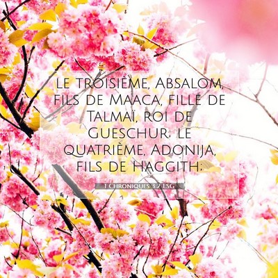 Picture 07 - 1 Chroniques 3:2 LSG - le troisième, Absalom, fils de Maaca, fille de - Bible Verse Picture