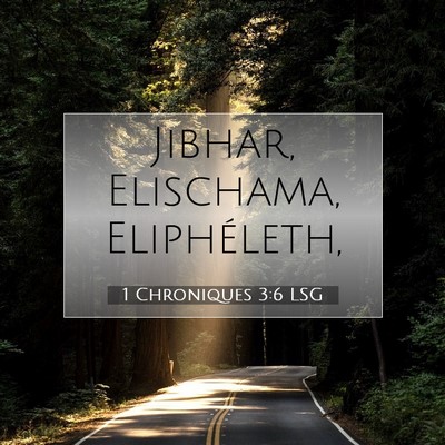 Picture 07 - 1 Chroniques 3:6 LSG - Jibhar, Elischama, - Bible Verse Picture