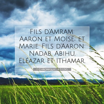 Picture 07 - 1 Chroniques 6:3 LSG - Fils d'Amram: Aaron et Moïse; et Marie. Fils - Bible Verse Picture