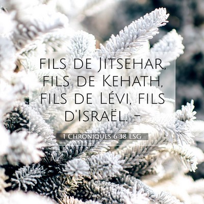 Picture 07 - 1 Chroniques 6:38 LSG - fils de Jitsehar, fils de Kehath, fils de Lévi, - Bible Verse Picture