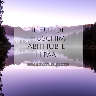 Picture 07 - 1 Chroniques 8:11 LSG - Il eut de Huschim: Abithub et - Bible Verse Picture