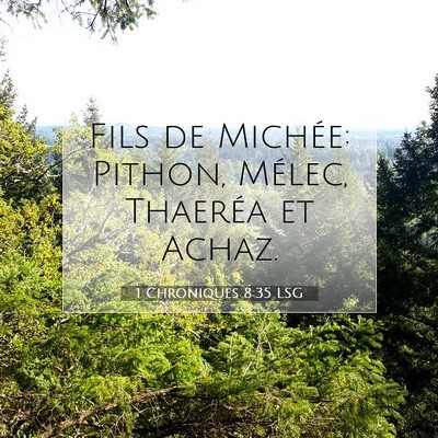 Picture 07 - 1 Chroniques 8:35 LSG - Fils de Michée: Pithon, Mélec, Thaeréa et - Bible Verse Picture