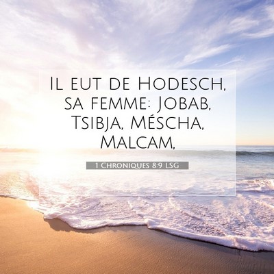 Picture 07 - 1 Chroniques 8:9 LSG - Il eut de Hodesch, sa femme: Jobab, Tsibja, - Bible Verse Picture