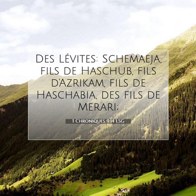 Picture 07 - 1 Chroniques 9:14 LSG - Des Lévites: Schemaeja, fils de Haschub, fils - Bible Verse Picture