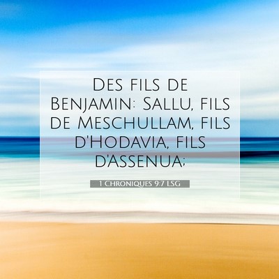 Picture 07 - 1 Chroniques 9:7 LSG - Des fils de Benjamin: Sallu, fils de Meschullam, - Bible Verse Picture