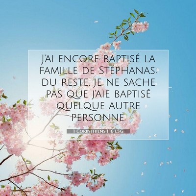 Picture 07 - 1 Corinthiens 1:16 LSG - J'ai encore baptisé la famille de Stéphanas; du - Bible Verse Picture