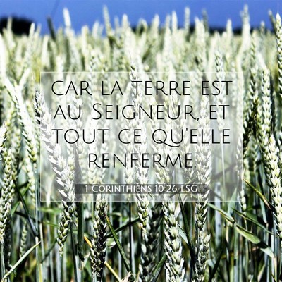 Picture 07 - 1 Corinthiens 10:26 LSG - car la terre est au Seigneur, et tout ce qu'elle - Bible Verse Picture