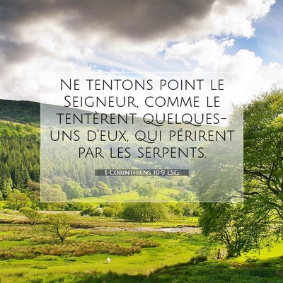 Picture 07 - 1 Corinthiens 10:9 LSG - Ne tentons point le Seigneur, comme le tentèrent - Bible Verse Picture