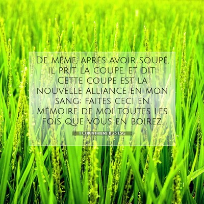 Picture 07 - 1 Corinthiens 11:25 LSG - De même, après avoir soupé, il prit la coupe, - Bible Verse Picture