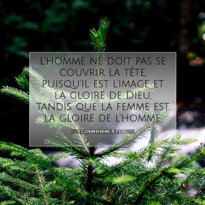 Picture 07 - 1 Corinthiens 11:7 LSG - L'homme ne doit pas se couvrir la tête, - Bible Verse Picture