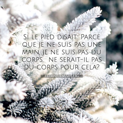 Picture 07 - 1 Corinthiens 12:15 LSG - Si le pied disait: Parce que je ne suis pas une - Bible Verse Picture