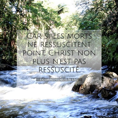 Picture 07 - 1 Corinthiens 15:16 LSG - Car si les morts ne ressuscitent point, Christ - Bible Verse Picture
