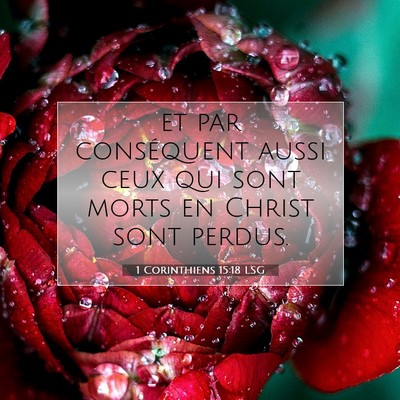 Picture 07 - 1 Corinthiens 15:18 LSG - et par conséquent aussi ceux qui sont morts en - Bible Verse Picture