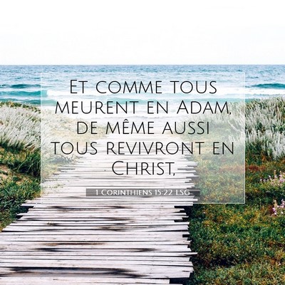 Picture 07 - 1 Corinthiens 15:22 LSG - Et comme tous meurent en Adam, de même aussi - Bible Verse Picture