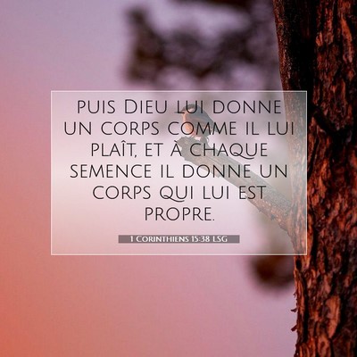 Picture 07 - 1 Corinthiens 15:38 LSG - puis Dieu lui donne un corps comme il lui plaît, - Bible Verse Picture