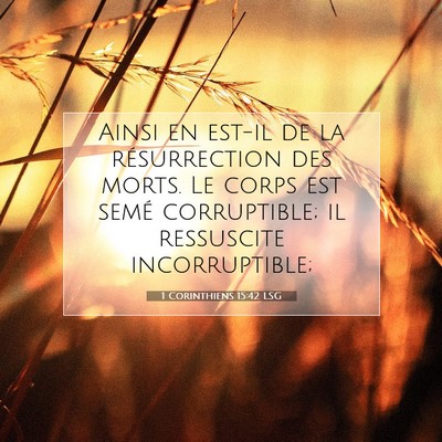 Picture 07 - 1 Corinthiens 15:42 LSG - Ainsi en est-il de la résurrection des morts. Le - Bible Verse Picture
