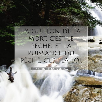 Picture 07 - 1 Corinthiens 15:56 LSG - L'aiguillon de la mort, c'est le péché; et la - Bible Verse Picture