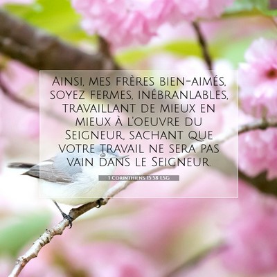 Picture 07 - 1 Corinthiens 15:58 LSG - Ainsi, mes frères bien-aimés, soyez fermes, - Bible Verse Picture