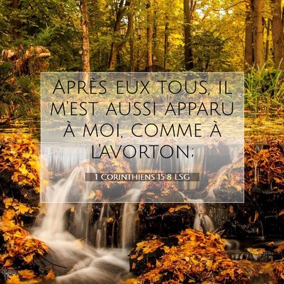 Picture 07 - 1 Corinthiens 15:8 LSG - Après eux tous, il m'est aussi apparu à moi, - Bible Verse Picture