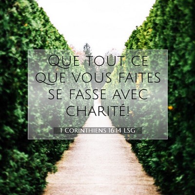 Picture 07 - 1 Corinthiens 16:14 LSG - Que tout ce que vous faites se fasse avec - Bible Verse Picture